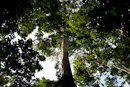 Carara National Park, Costa Rica